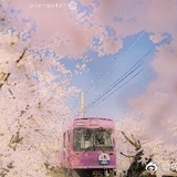 向日葵🌻