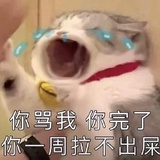 迪亚菠萝