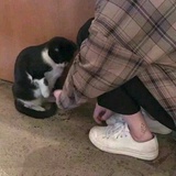 歪了咩～
