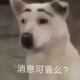 反对本本主义