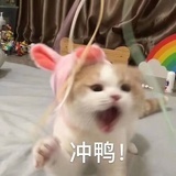 晚安