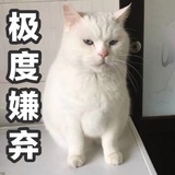 阳光好也不出门