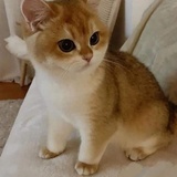 春阅_