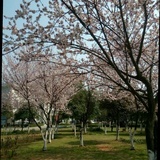 _wumingshi