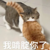 星星点灯人✨