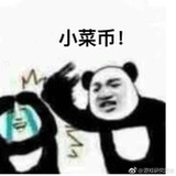 酷酷的酷