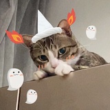 春虫虫
