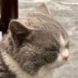 吃什么蛋挞