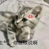 喂 你要记得
