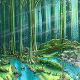 微光雨林