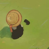 智齿碎片