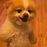 新然