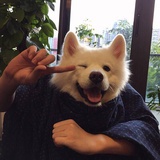 FangQ