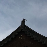 林夕月