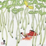 甘露子