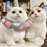 吧唧一口叭
