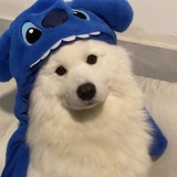 董二千