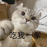 胡氏叫花鸡
