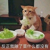 猫性感