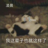 一口吃十个猪蹄