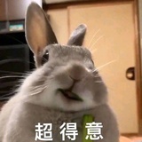 一个小号