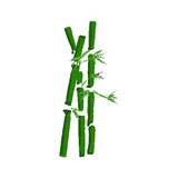 莫听穿林打叶声