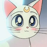 星星