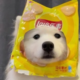 工部官员严大人