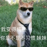倚松客