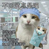 菠萝油u