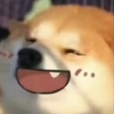 e个毛线球