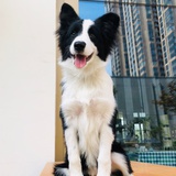 追九月