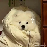 广州TTG黄少天
