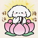 婷婷