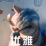 aa