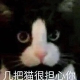 沙雕233