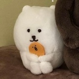 小C