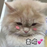 Jennifer_