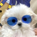 飞天小魔女