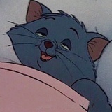 林桶桶儿