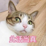 也还是想