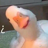 吃瓜zzr