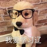 学习中勿扰
