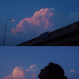 笑与君歌十二笙