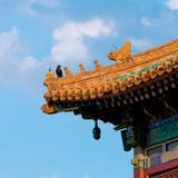 牛爷爷