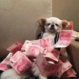 不要山