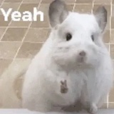 桃桃乐