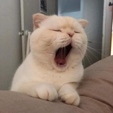 千里暮云