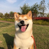 蕾蕾er