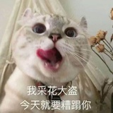 妖孽不许笑